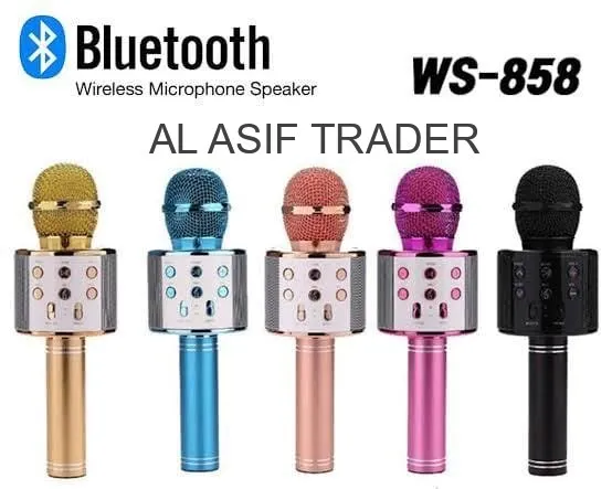 WS-858 MIC